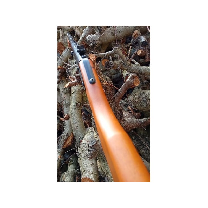 Carabina Daisy modelo 25 Pump Gun
