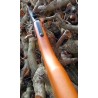 Carabina Daisy modelo 25 Pump Gun