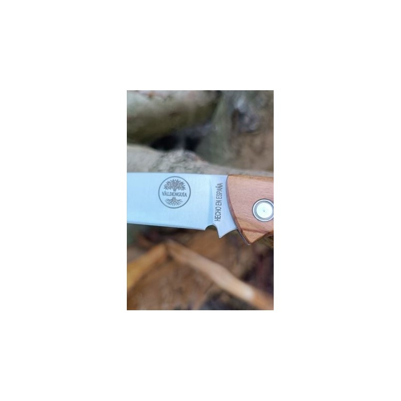 Navaja de bolsillo Valdenguía de olivo.